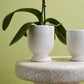 Laney Vase Set of 8 By Accent Decor | Vases | Modishstore - 9
