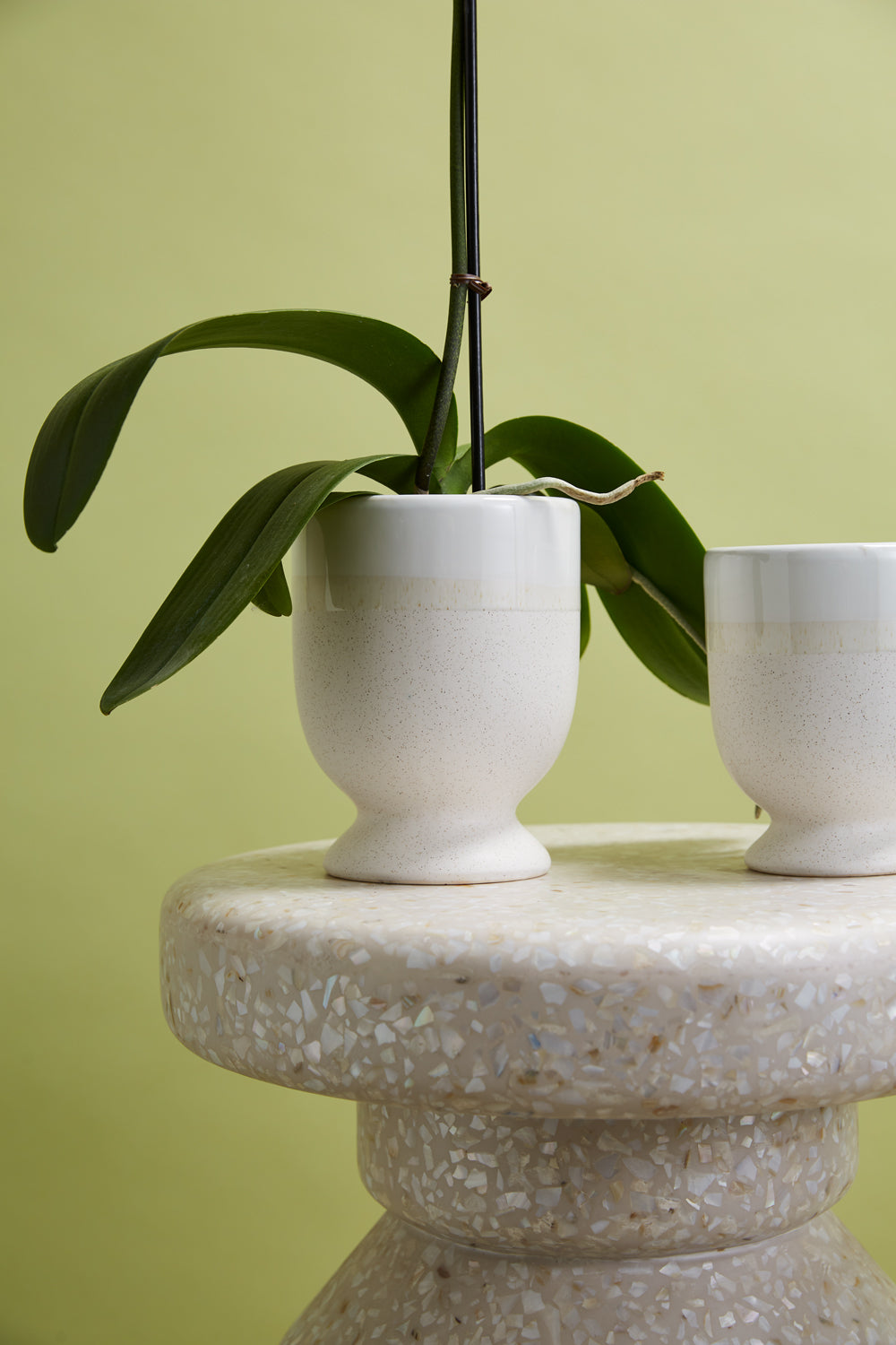 Laney Vase Set of 8 By Accent Decor | Vases | Modishstore - 9