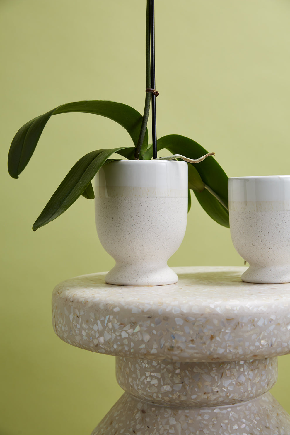 Laney Vase Set of 8 By Accent Decor | Vases | Modishstore - 9