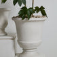 Sadler Urn By Accent Decor | Planters, Troughs & Cachepots | Modishstore - 8