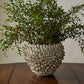 Surreal Collection By Accent Decor | Planters, Troughs & Cachepots | Modishstore - 10