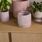 Refresh Pot Set of 2 By Accent Decor | Wall Decor | Modishstore - 9