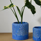 Refresh Pot Set of 2 By Accent Decor | Wall Decor | Modishstore - 11