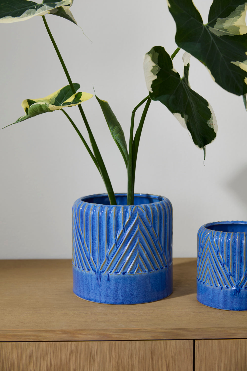 Refresh Pot Set of 2 By Accent Decor | Wall Decor | Modishstore - 11