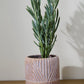 Refresh Pot Set of 2 By Accent Decor | Wall Decor | Modishstore - 4