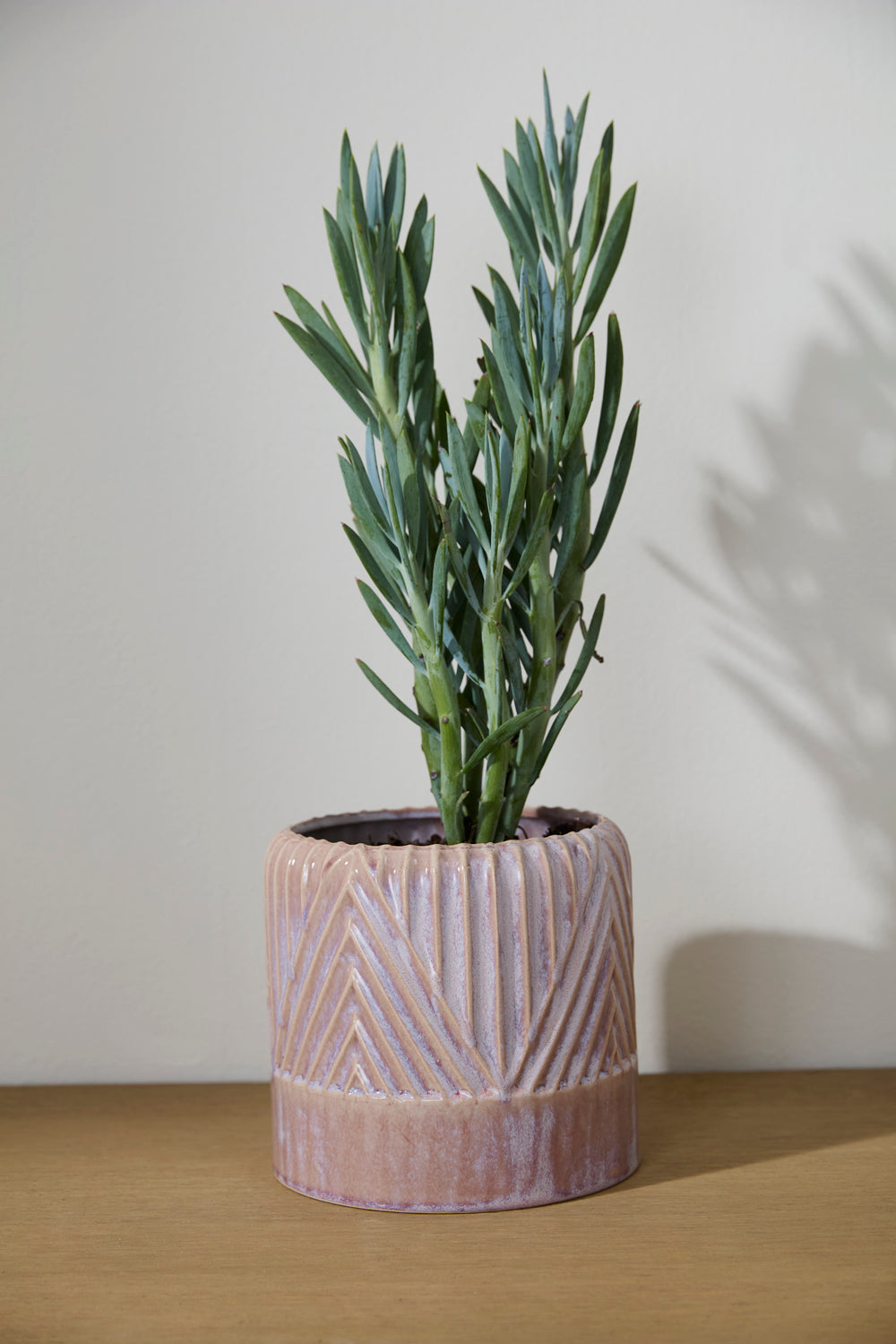 Refresh Pot Set of 2 By Accent Decor | Wall Decor | Modishstore - 4