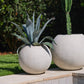 Full Moon Planter By Accent Decor | Planters, Troughs & Cachepots | Modishstore - 4