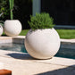 Full Moon Planter By Accent Decor | Planters, Troughs & Cachepots | Modishstore - 6