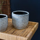Jupiter Pot Set of 8 By Accent Decor | Planters, Troughs & Cachepots | Modishstore - 5