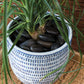 Jupiter Pot Set of 8 By Accent Decor | Planters, Troughs & Cachepots | Modishstore - 9