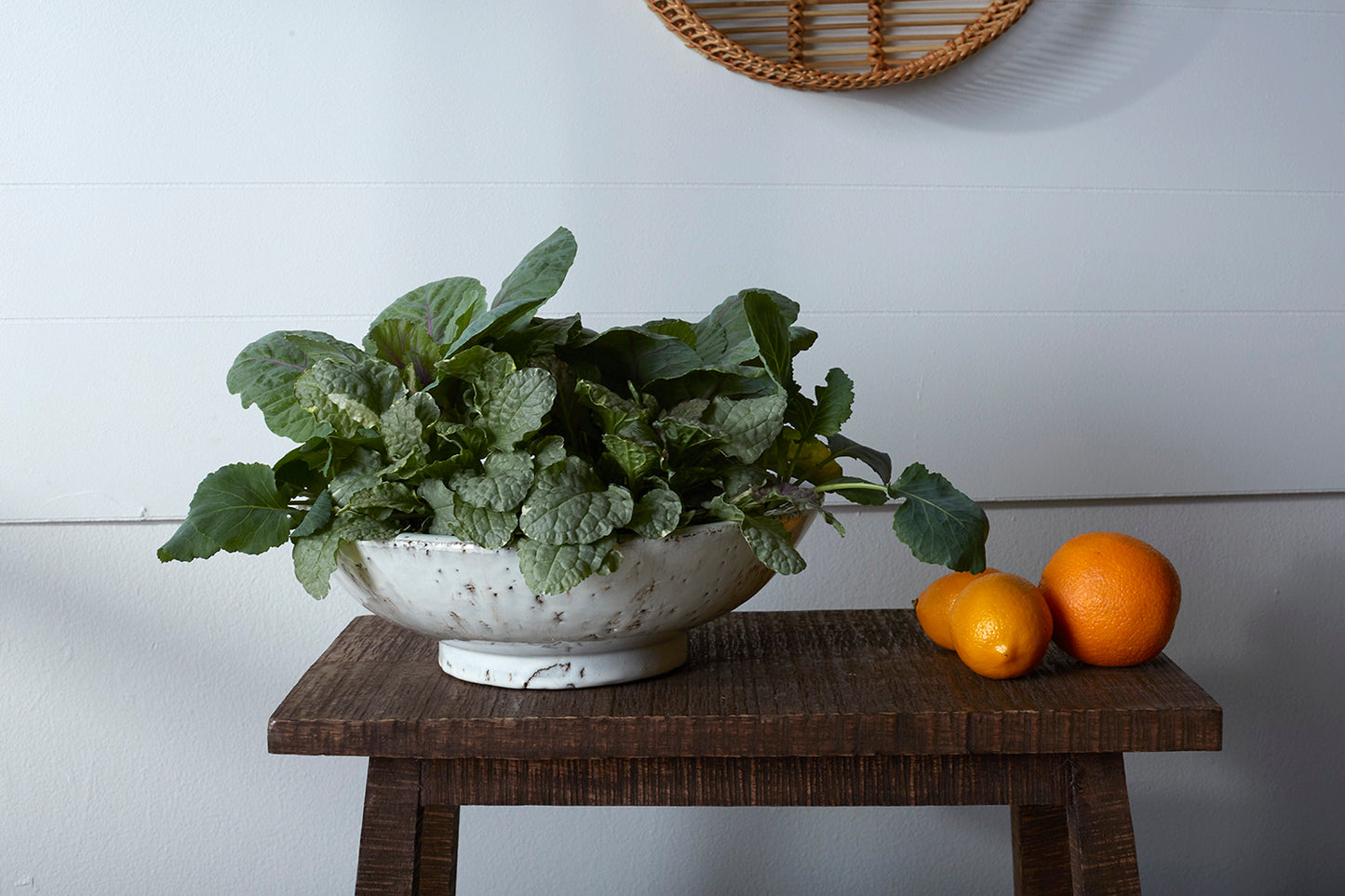 Divvy Bowl Set of 4 By Accent Decor | Decorative Bowls | Modishstore - 8