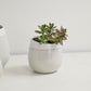 Choice Pot Set of 8 By Accent Decor | Planters, Troughs & Cachepots | Modishstore - 11