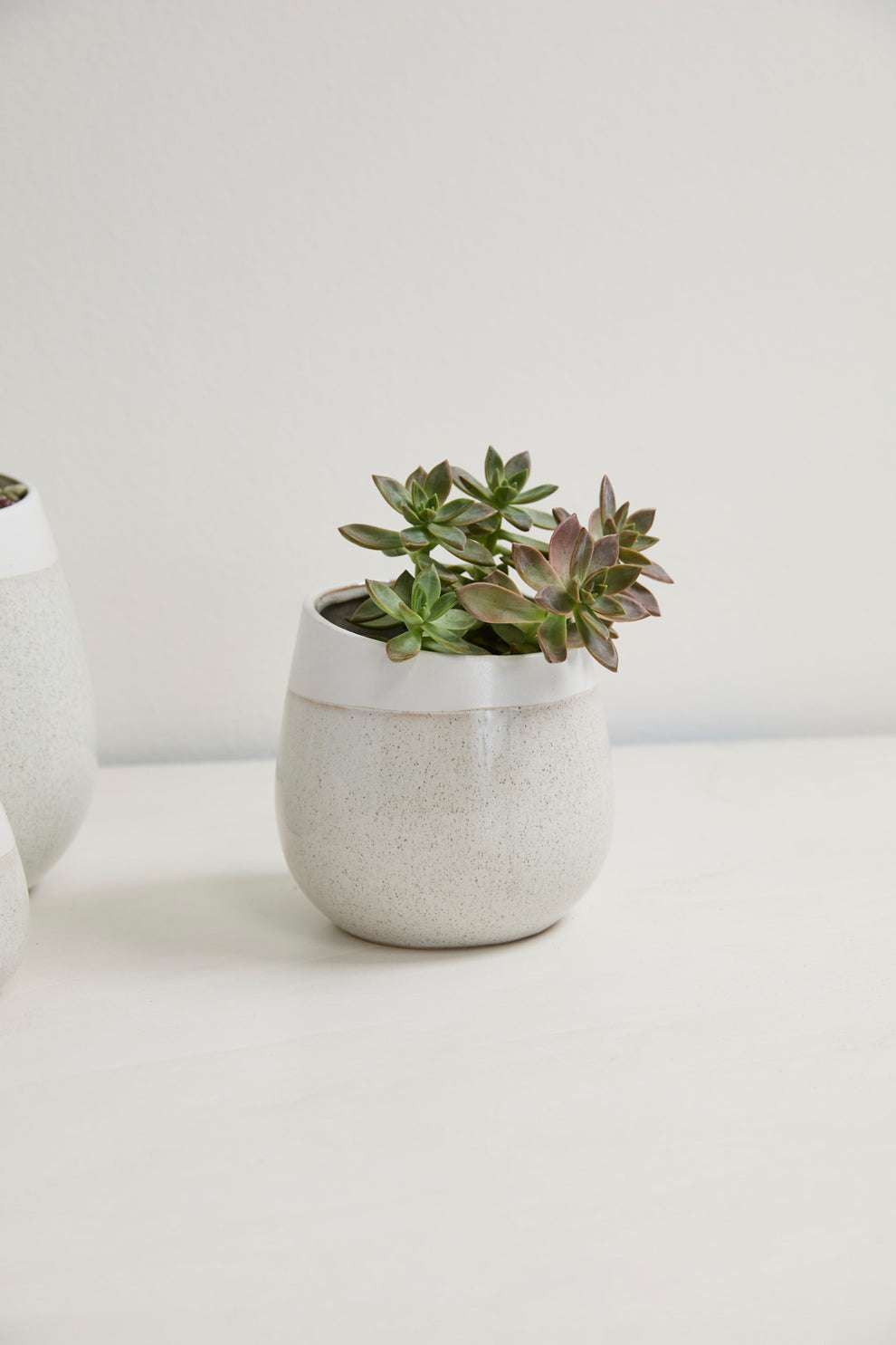 Choice Pot Set of 8 By Accent Decor | Planters, Troughs & Cachepots | Modishstore - 11