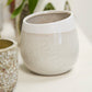 Choice Pot Set of 8 By Accent Decor | Planters, Troughs & Cachepots | Modishstore - 12