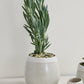Choice Pot Set of 8 By Accent Decor | Planters, Troughs & Cachepots | Modishstore - 15