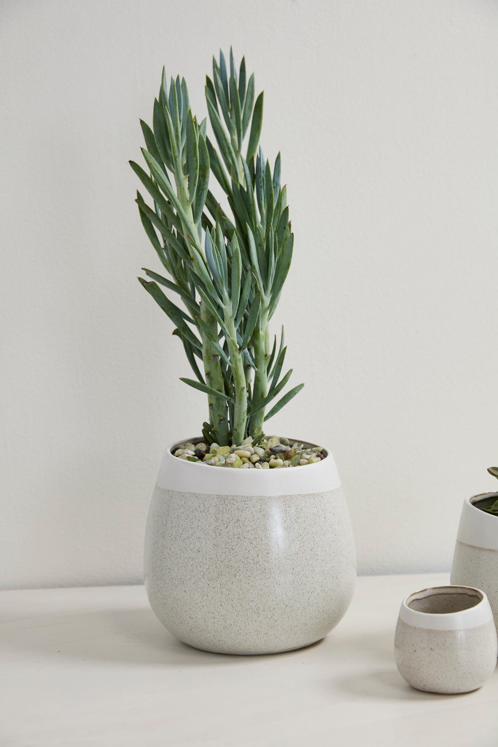 Choice Pot Set of 8 By Accent Decor | Planters, Troughs & Cachepots | Modishstore - 15