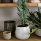 Choice Pot Set of 8 By Accent Decor | Planters, Troughs & Cachepots | Modishstore - 16