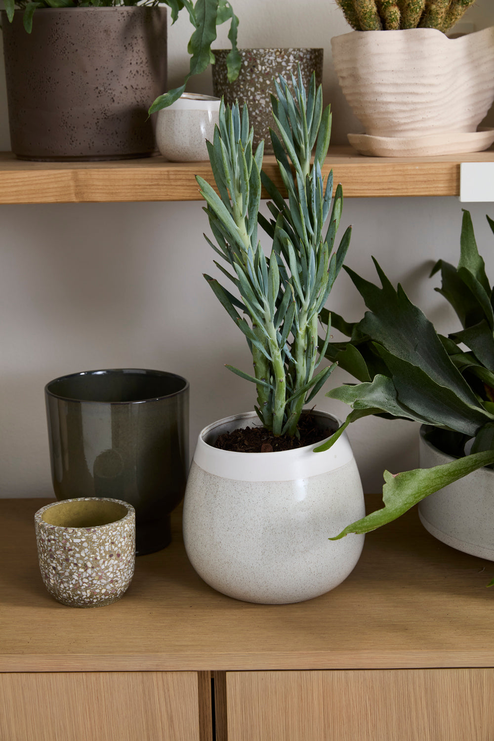 Choice Pot Set of 8 By Accent Decor | Planters, Troughs & Cachepots | Modishstore - 16