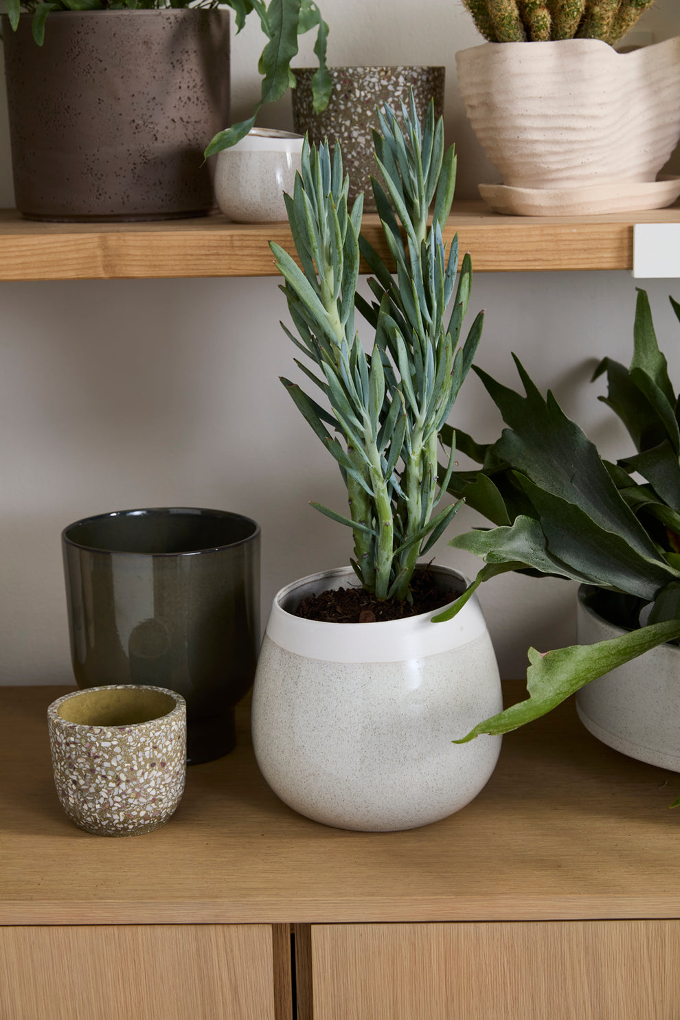 Choice Pot Set of 8 By Accent Decor | Planters, Troughs & Cachepots | Modishstore - 16
