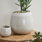 Choice Pot Set of 8 By Accent Decor | Planters, Troughs & Cachepots | Modishstore - 17