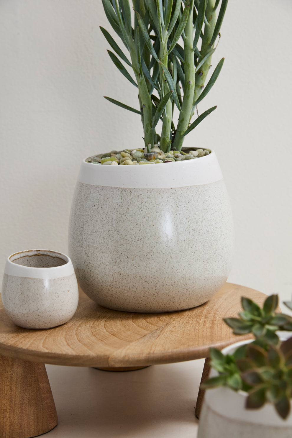 Choice Pot Set of 8 By Accent Decor | Planters, Troughs & Cachepots | Modishstore - 17