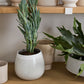 Choice Pot Set of 8 By Accent Decor | Planters, Troughs & Cachepots | Modishstore - 18