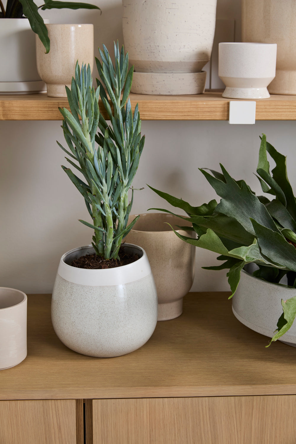 Choice Pot Set of 8 By Accent Decor | Planters, Troughs & Cachepots | Modishstore - 18