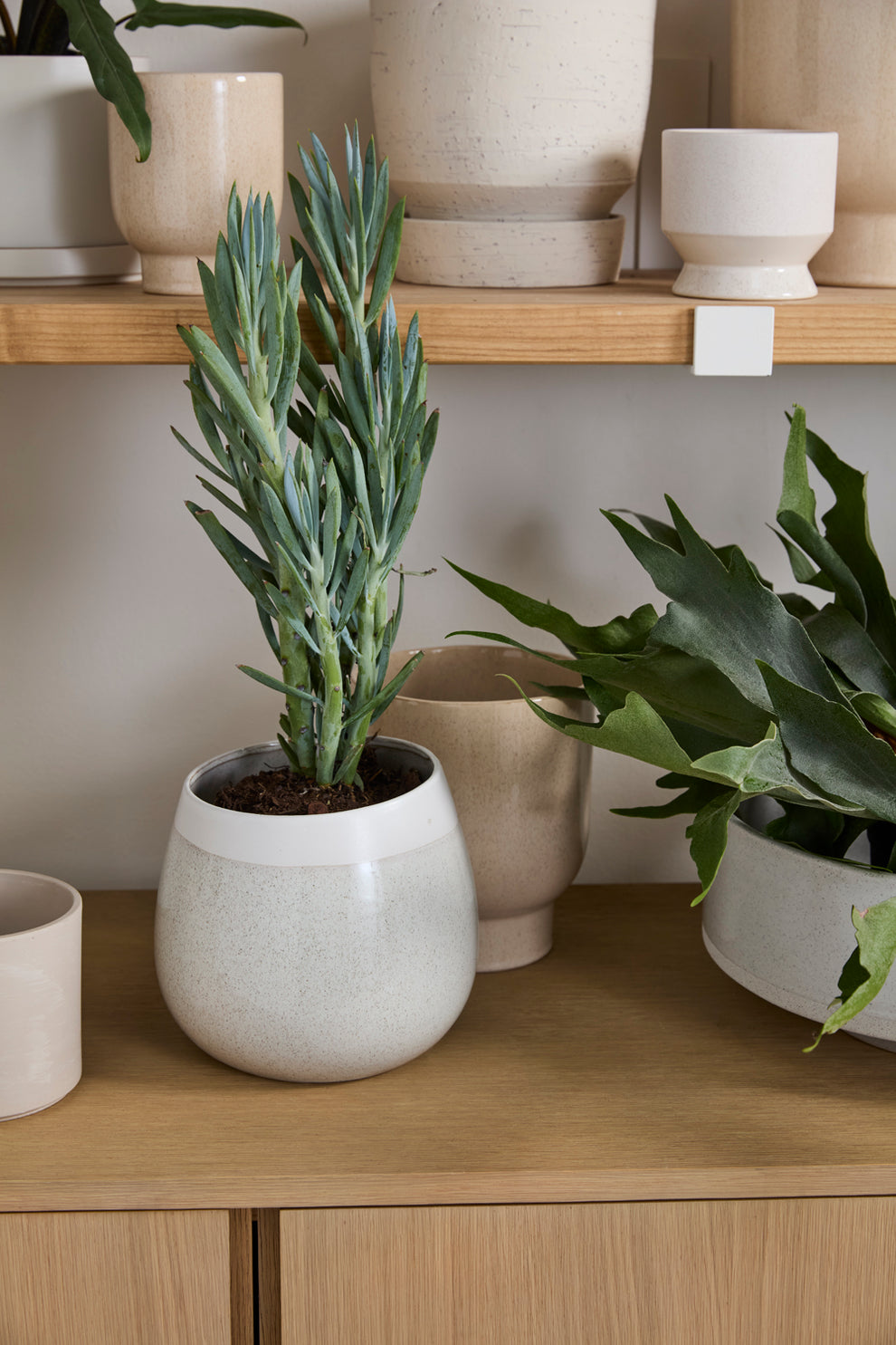 Choice Pot Set of 8 By Accent Decor | Planters, Troughs & Cachepots | Modishstore - 18