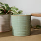 Roux Pot Set of 8 By Accent Decor | Planters, Troughs & Cachepots | Modishstore - 7