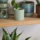 Roux Pot Set of 8 By Accent Decor | Planters, Troughs & Cachepots | Modishstore - 8