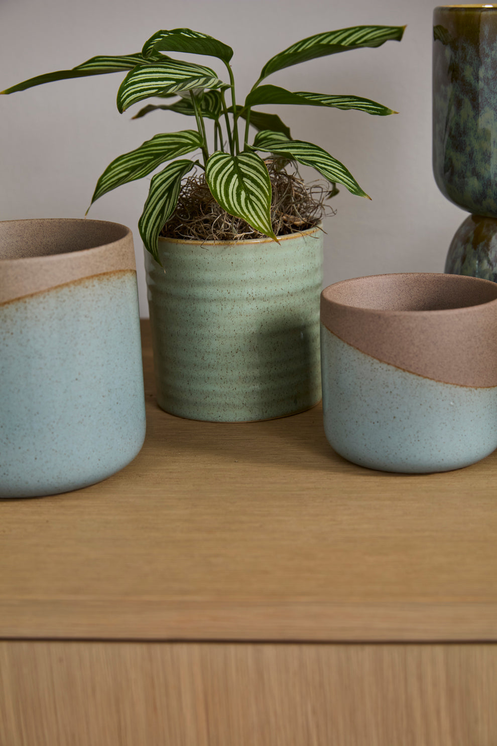 Roux Pot Set of 8 By Accent Decor | Planters, Troughs & Cachepots | Modishstore - 9