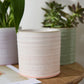 Roux Pot Set of 8 By Accent Decor | Planters, Troughs & Cachepots | Modishstore - 11