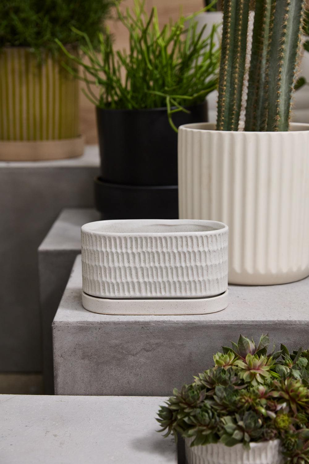 Zelle Planter with Saucer Set of 4 By Accent Decor | Planters, Troughs & Cachepots | Modishstore - 6