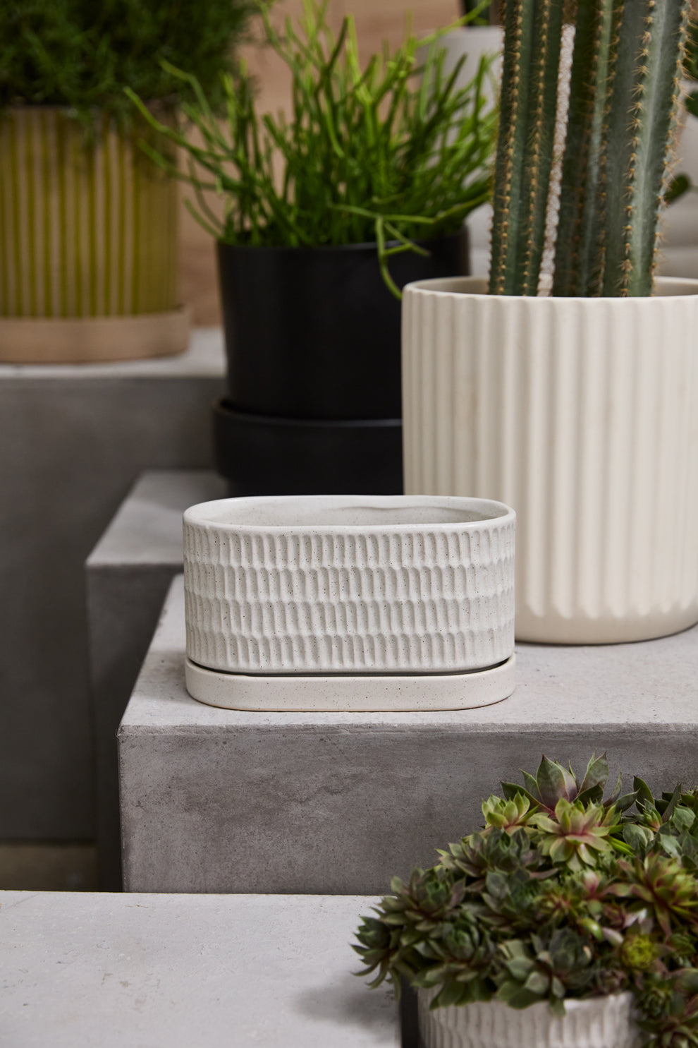 Zelle Planter with Saucer Set of 4 By Accent Decor | Planters, Troughs & Cachepots | Modishstore - 6