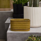 Zelle Planter with Saucer Set of 4 By Accent Decor | Planters, Troughs & Cachepots | Modishstore - 4