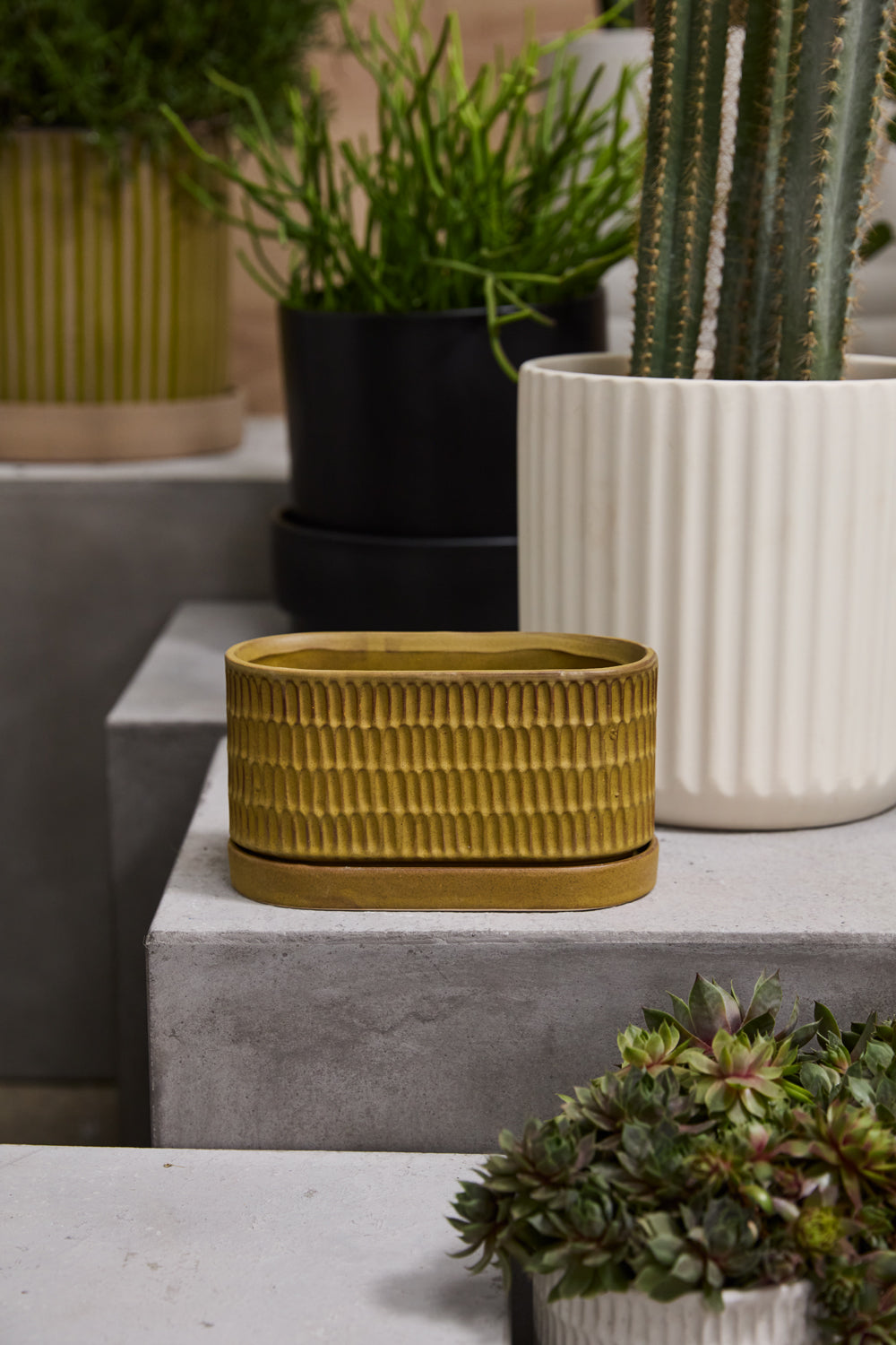 Zelle Planter with Saucer Set of 4 By Accent Decor | Planters, Troughs & Cachepots | Modishstore - 4