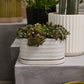 Zelle Planter with Saucer Set of 4 By Accent Decor | Planters, Troughs & Cachepots | Modishstore - 10