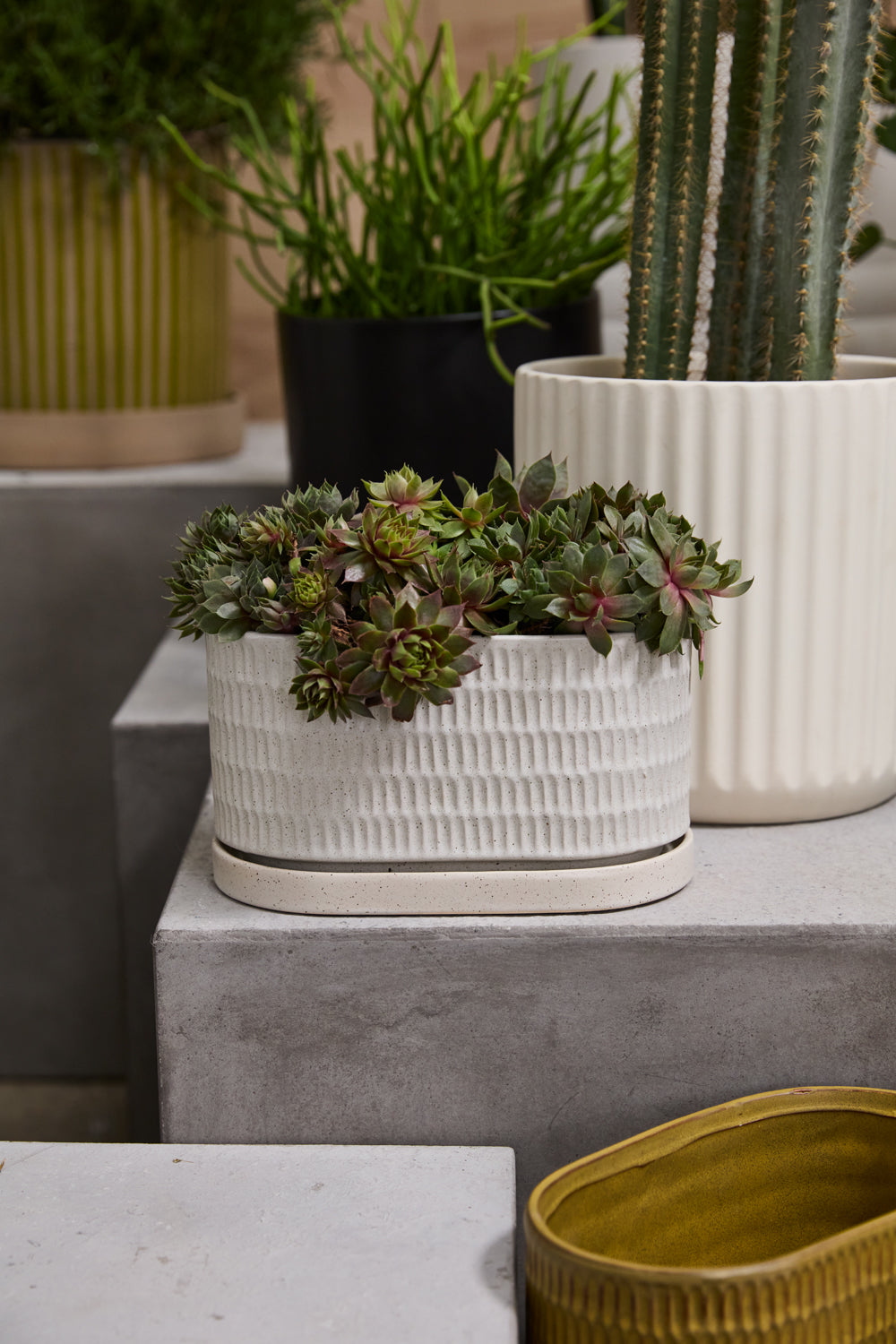 Zelle Planter with Saucer Set of 4 By Accent Decor | Planters, Troughs & Cachepots | Modishstore - 10