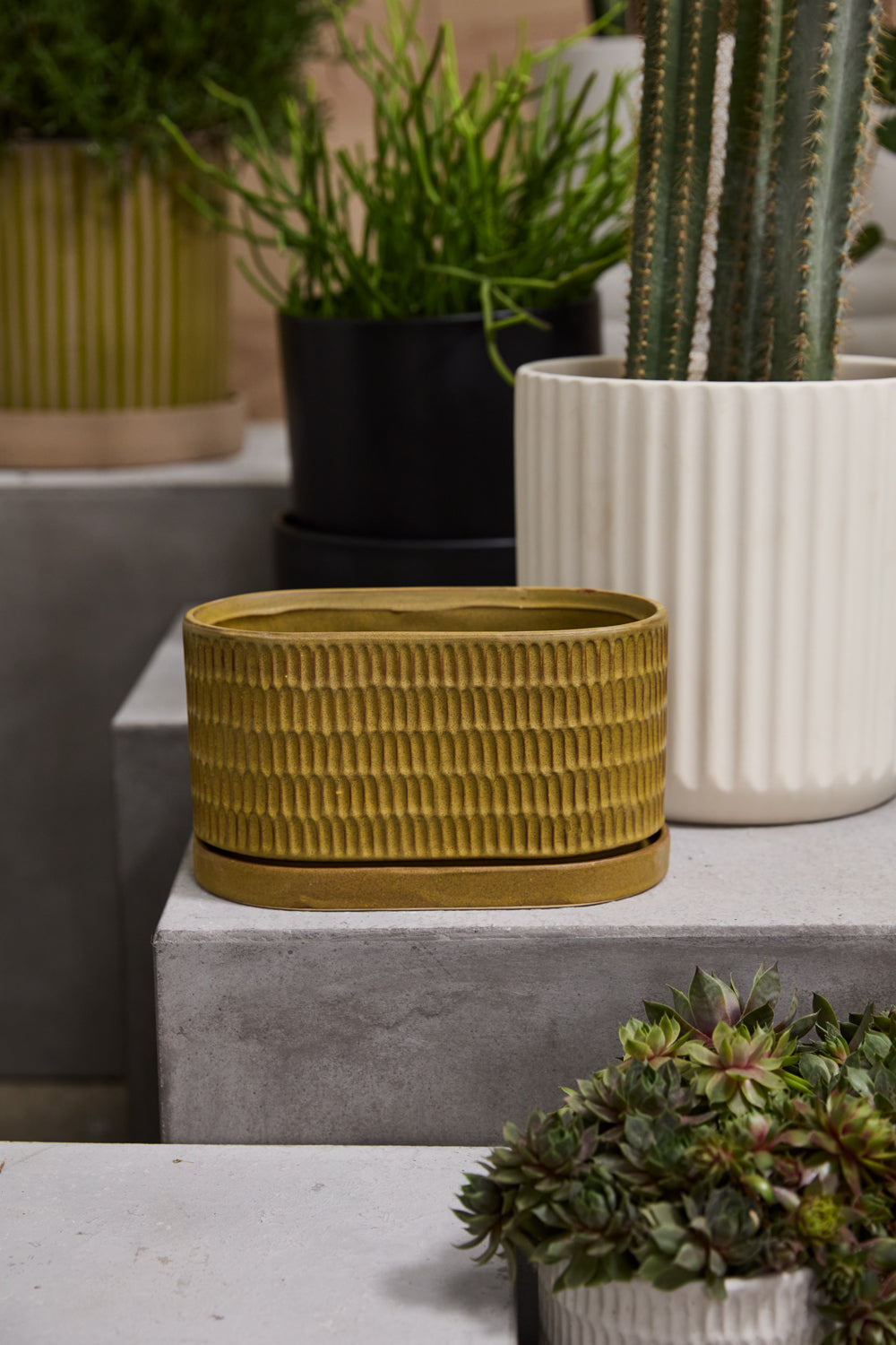 Zelle Planter with Saucer Set of 4 By Accent Decor | Planters, Troughs & Cachepots | Modishstore - 8