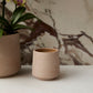 Luciana Pot Set of 8 By Accent Decor | Stands | Modishstore - 4