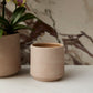 Luciana Pot Set of 8 By Accent Decor | Stands | Modishstore - 6