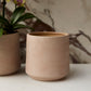 Luciana Pot Set of 8 By Accent Decor | Stands | Modishstore - 8