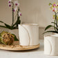 Diane Collection Set of 4 By Accent Decor | Stands | Modishstore - 8