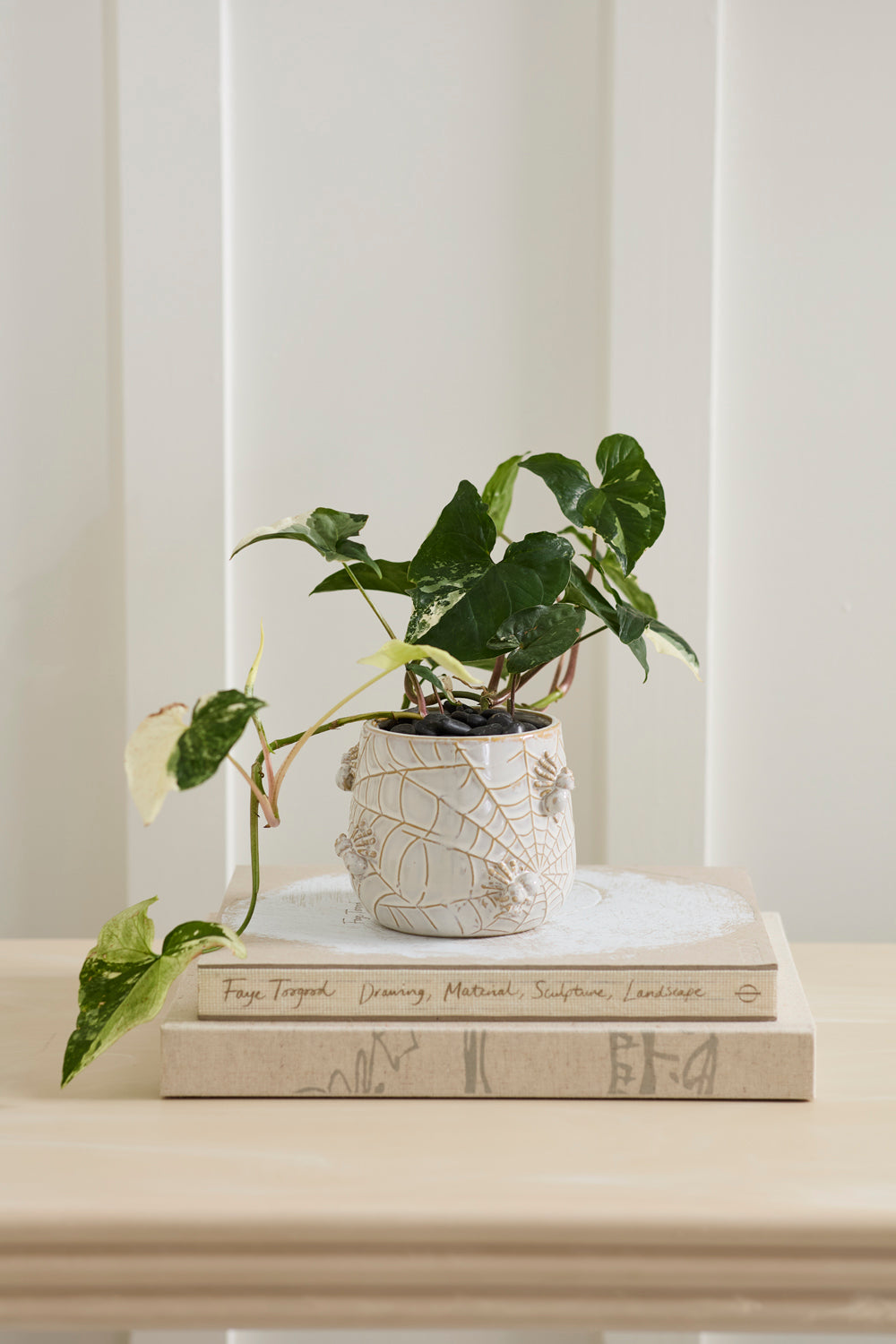 House Spider Pot Set of 4 By Accent Decor | Planters, Troughs & Cachepots | Modishstore - 7