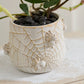 House Spider Pot Set of 4 By Accent Decor | Planters, Troughs & Cachepots | Modishstore - 6