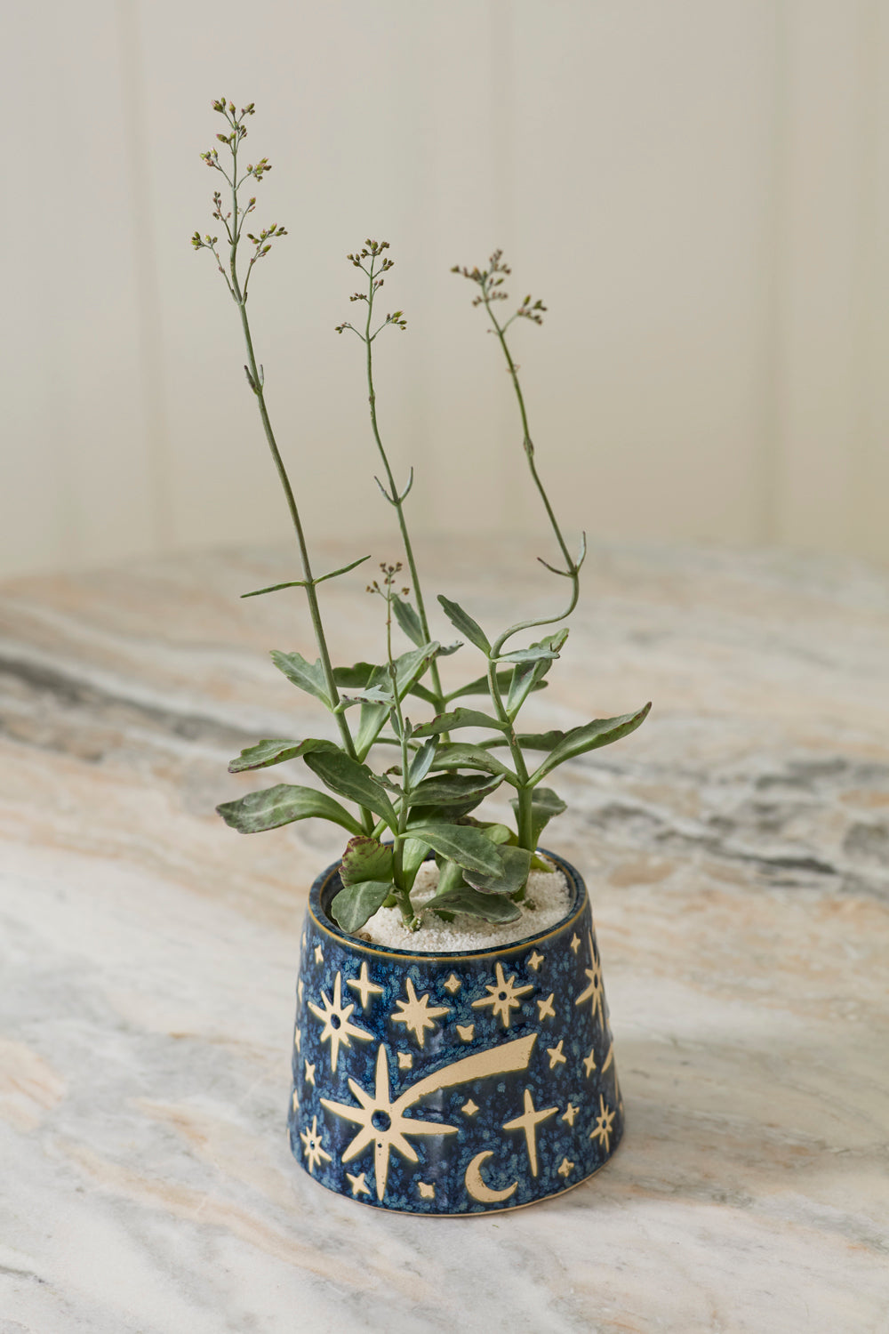 Night Sky Pot Set of 8 By Accent Decor | Planters, Troughs & Cachepots | Modishstore - 7