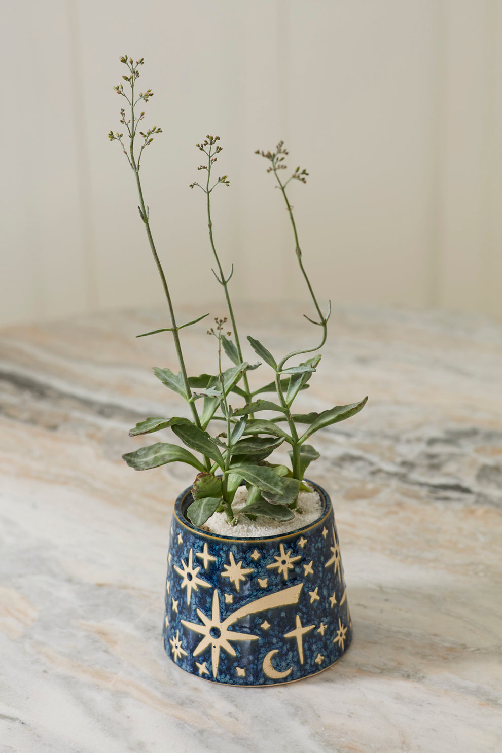 Night Sky Pot Set of 8 By Accent Decor | Planters, Troughs & Cachepots | Modishstore - 7