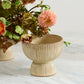 Thorn Compote Set of 4 By Accent Decor | Planters, Troughs & Cachepots | Modishstore - 6