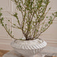 Caliza Bowl By Accent Decor | Decorative Bowls | Modishstore - 5