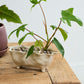 Glaslow Planter Set of 2 By Accent Decor | Planters, Troughs & Cachepots | Modishstore - 4